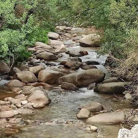 Avec Piscine 6 Personnes Villa Bastelicaccia