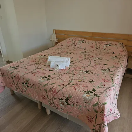 Avec Piscine 6 Personnes * Bastelicaccia