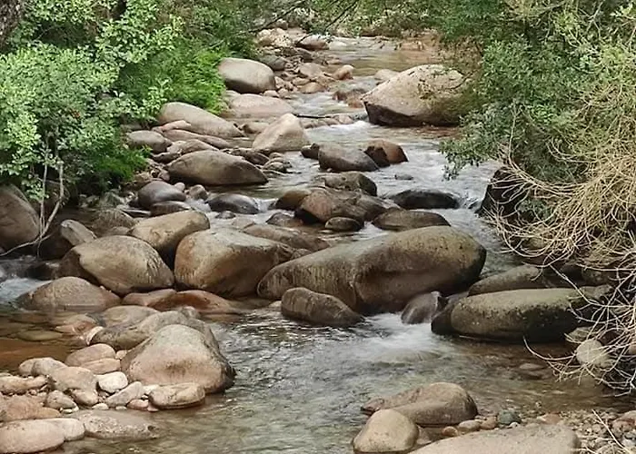 Avec Piscine 6 Personnes Villa Bastelicaccia